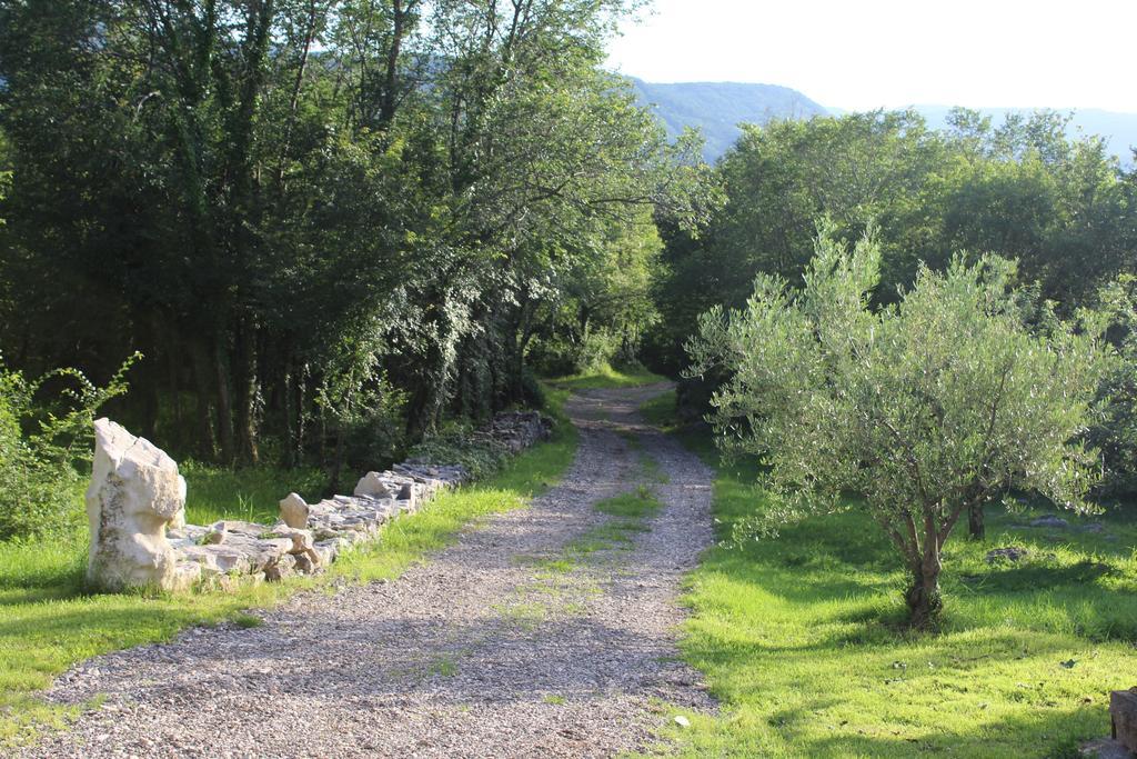 Villa Mavrici, Neighbors Free Buzet Eksteriør bilde